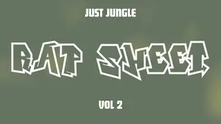 Just Jungle - Rap Sheet Vol 2