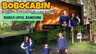 Staycation at Bobocabin Rancaupas Bandung. Glamping with view in the Cabin | Baby Shark Dance