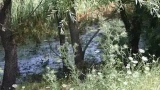 La Piana del Dragone