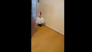 Beautiful Baby Girl In A Chicken Costume