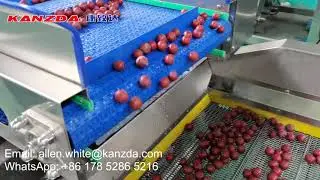 Plum washing and dry machine