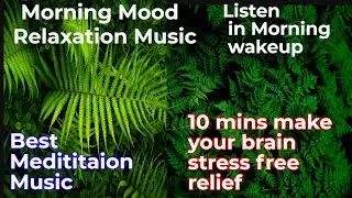 Relaxation music for Meditation music | MorningVibes  wakeupmusic |  stressfree | #viral2troll