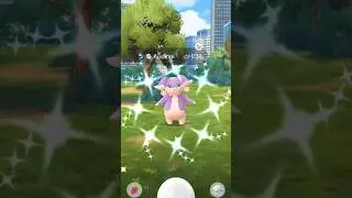 Pokemon go Shiny Mega Audino raid battle #shorts #viralshorts