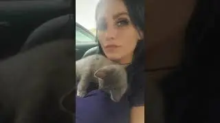 why does my baby kitty drool so much?!