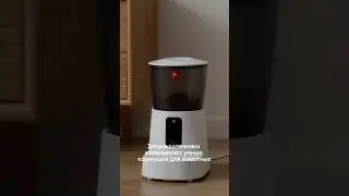 Как вас могут взломать через умную кормушку?