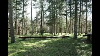 Mauro Giuliani, Grazioso op.111