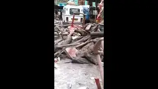 Intense Rain Has Deadly Results In India, Pakistan