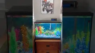 Day 4- Conditioning The Water #bassfishing #fishing #relatable #fish  #fishtank #viral #shorts #fyp