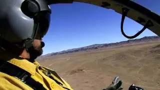 Bureau of Land Management Wild Horse Gathering