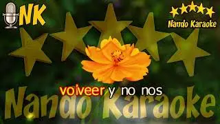 DESDE AQUEL DÍA - Raphael Karaoke