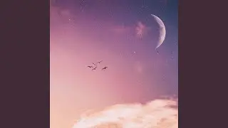 Sweet Nature
