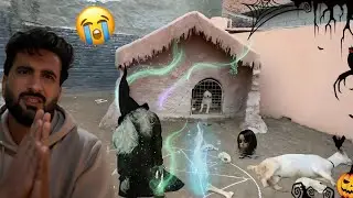 Chureel Mini Zoo Mai Aa Gayi Aaj To 😭 || Shehr Main Dihat 