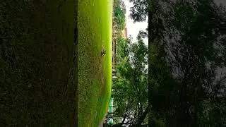 Cricket Ground at Infosys Hyderabad.