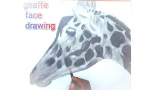 #giraffe #face #drawing #shading pencil se 🦒🦒🗒️