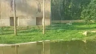 ملاهي سندباد الداربيضاء مع تجربة قطار الموت🚂