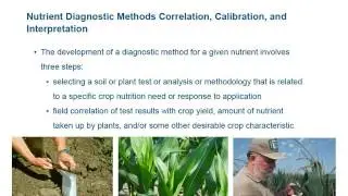 NRCS / 4R, Module 1: Overview of Soil Fertility, Plant Nutrition and Nutrient Management