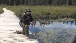 Spruce Bog Boardwalk - Algonquin Park