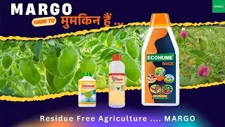 #MARGOHaintoMumkinHain Its Possible with MARGO #ResidueFree #Agriculture #Gram #BengalGram #Chickpea