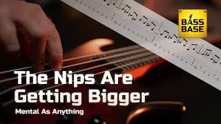 Mental As Anything - The Nips Are Getting Bigger - кавер на бас-гитаре с табулатурами