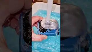 Blue JBL Go 4 + Soap Bass Test 🔊