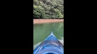 Quest9.5 (1).mp4