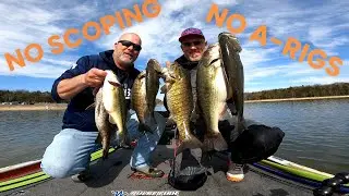 NO SCOPING.. NO A-RIGS...NO PROBLEM!!         ( Percy Priest Lake) #fishing #diawa #pulsefishlures