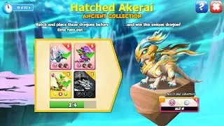 Hatched Akerai ancient dragon-Dragon mania legends | Haumi Dragon board event | DML