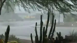 Monsoon Safety Tip #8  | Follow Road Closure Signs
