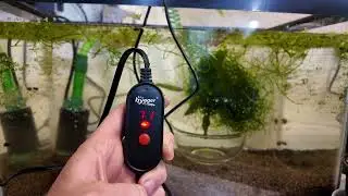 Hygger fish tank heater review