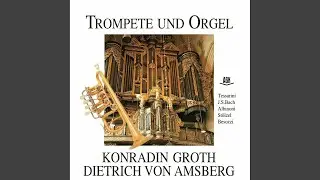 Konzert D-Dur: I. Allegro