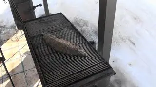 Муксун 
