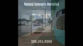 Natural Concepts Revisited - Act Two - Changing the Venue