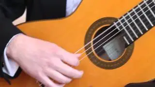 Guitar and Cello Duo