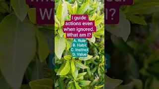 I guide actions even when ignored. What am I?