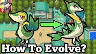 How to Evolve Your Pokemon! Evolution Guide! Materials Needed & Clearing Evo Story | Pokemon Masters