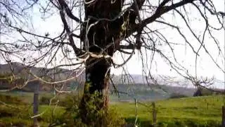 Camino de Santiago.De Espinal a Zubiri