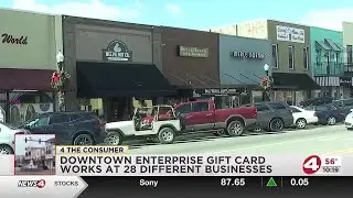 Downtown Enterprise gift card works at 28 different businesses