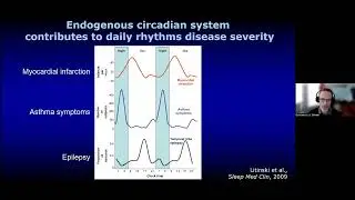 Longevity & Stress: Movement, Meditation, and Sleep