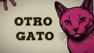 JUACCO -  OTRO GATO