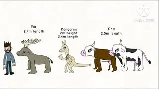 Mammals Size Comparison 2025