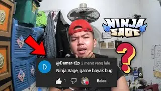 NINJA SAGE GAME HAS MANY BUGS?!