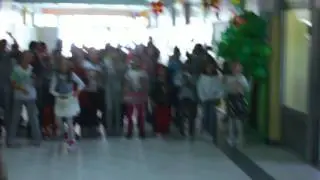 Upoznaj Prvu osnovnu školu, Brčko distrikt BiH