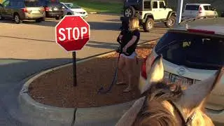RIDING MY HORSE TO SCHOOL