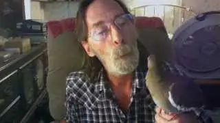 Pa introduces Birdy