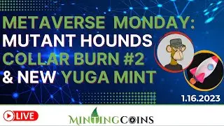 Metaverse Monday: Mutant Hounds Collar Burn #2, New Yuga Mint w/ Doo-Key Dash Game, & DCL Updates!