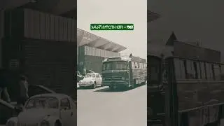 The Heartbeat of Addis Ababa: A Bustling Adarash Scene in Merkato