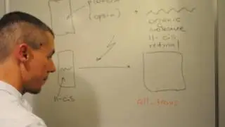 Visual pigment