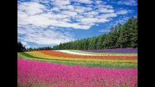 The Beauty of Nature - Colours of Nature