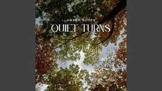 Quiet Turns