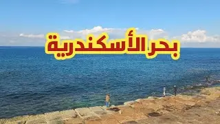 الاسكندرية حكاية حب